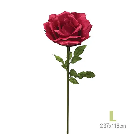 images/uploads/25921/thumb_23832-30-7 L.webp